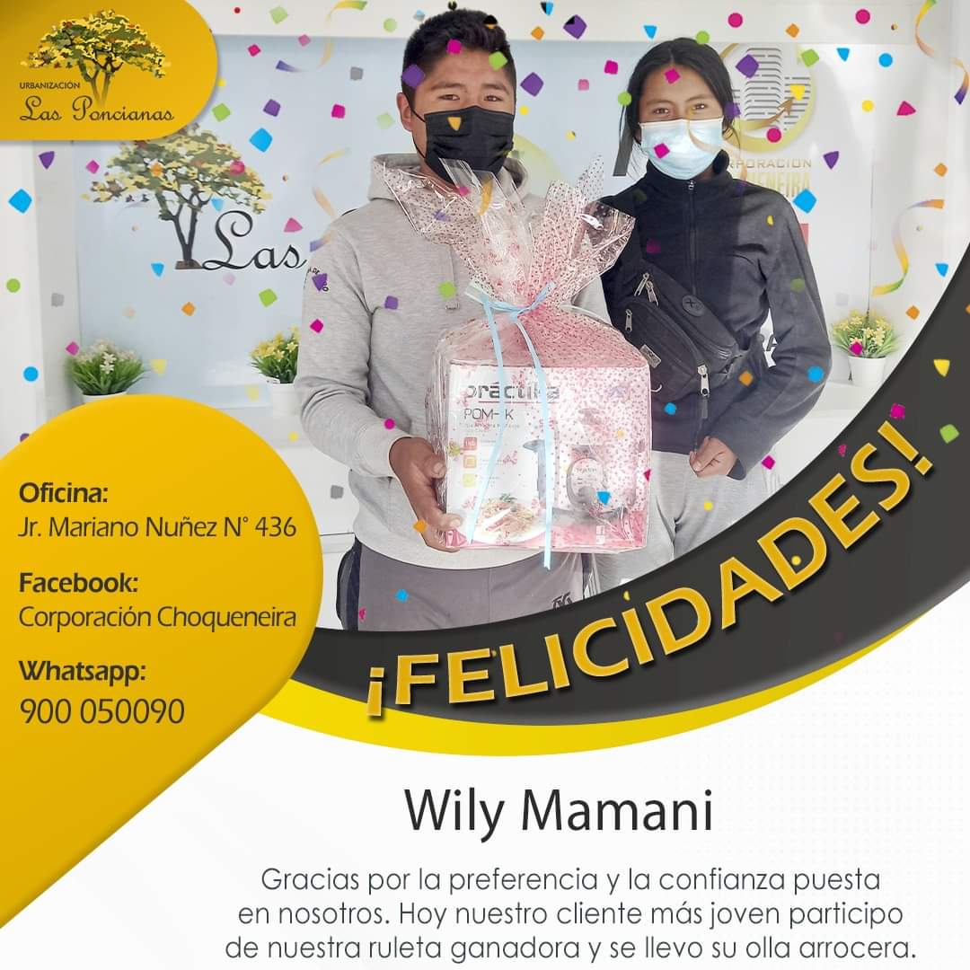 Willy Mamani